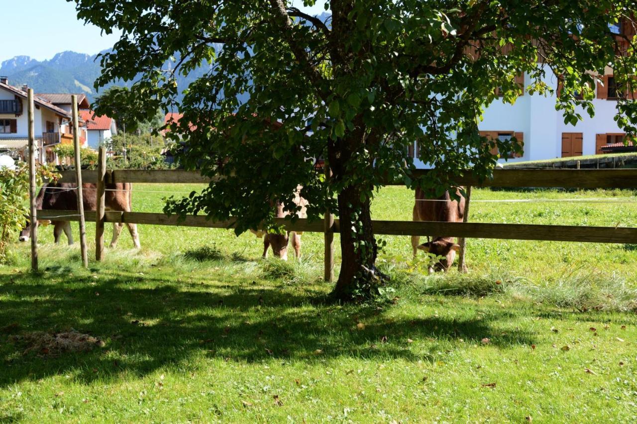 Gaestehaus Wild-Schuetz Schwangau Exterior foto